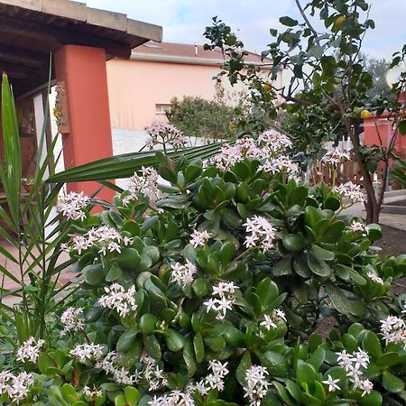 I Due Ciuchini Sardinia Leilighet Sassari Eksteriør bilde