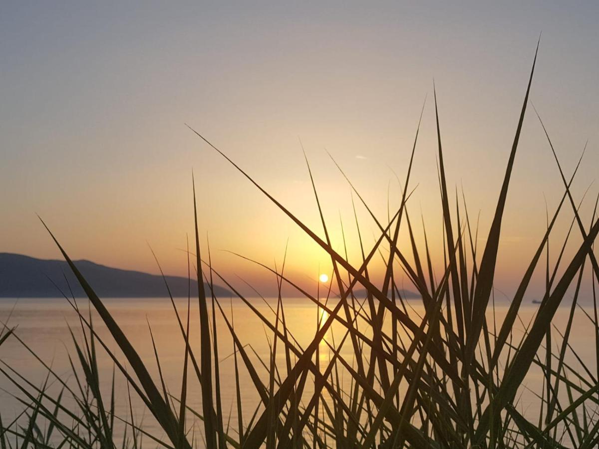 I Due Ciuchini Sardinia Leilighet Sassari Eksteriør bilde
