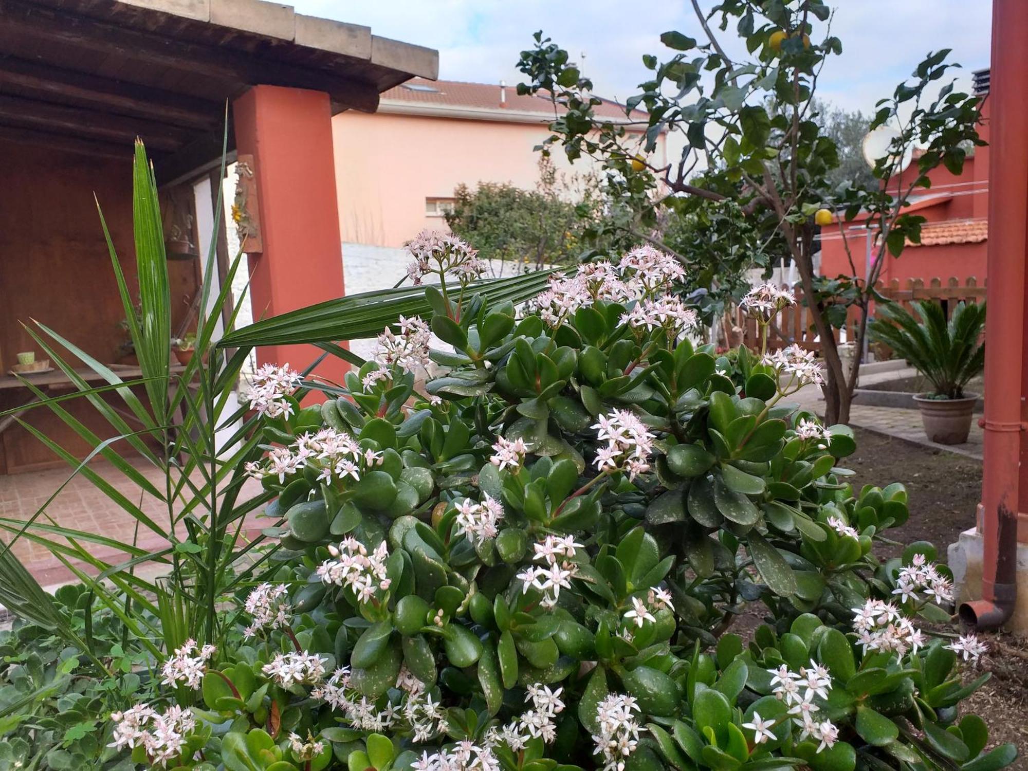 I Due Ciuchini Sardinia Leilighet Sassari Eksteriør bilde